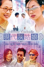 Modern Cinderella 2002 one on netflix