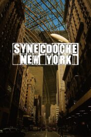 Synecdoche, New York 2008 one on netflix