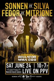 Bellator 180: Sonnen vs. Silva 2017 one on netflix
