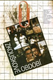 The Period of Examinations 1990 one on netflix