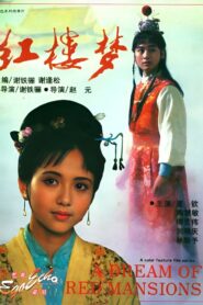 红楼梦第一部:宝黛相会(上) 1989 one on netflix