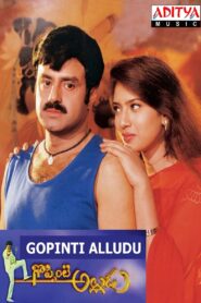 Goppinti Alludu 2000 one on netflix
