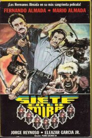 Siete en la Mira 1984 one on netflix