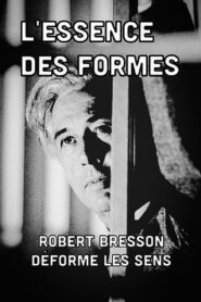 The Essence of Forms 2010 one on netflix