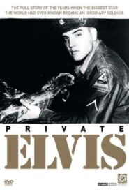 Private Elvis 1993 one on netflix