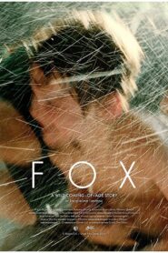 Fox 2016 one on netflix