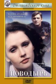 The Guide 2001 one on netflix