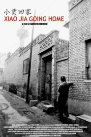 Xiao Jia Going Home 2007 one on netflix