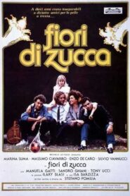 Fiori di zucca 1989 one on netflix