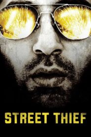 Street Thief 2006 one on netflix