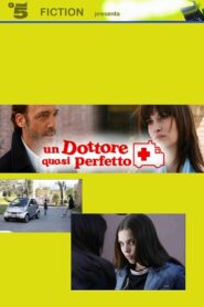 Un dottore quasi perfetto 2007 one on netflix