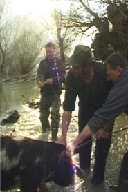 Danube Soap Opera 2006 one on netflix