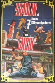 Shaolin and Taichi 1983 one on netflix
