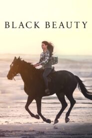 Black Beauty 2020 one on netflix