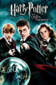 Harry Potter and the Order of the Phoenix 2007 one on netflix