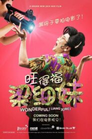 Wonderful! Liang Xi Mei 2018 one on netflix