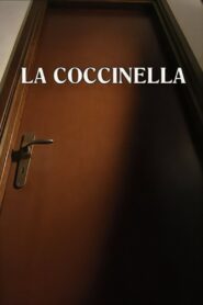 Ladybird 1999 one on netflix