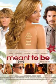 Meant To Be 2010 one on netflix