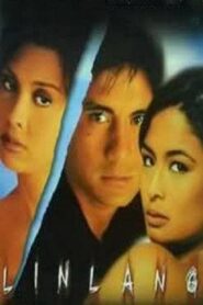 Linlang 1999 one on netflix