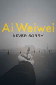 Ai Weiwei: Never Sorry 2012 one on netflix