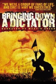 Bringing Down a Dictator 2002 one on netflix
