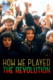 How We Played the Revolution 2012 one on netflix