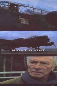 Night Flight 2002 one on netflix