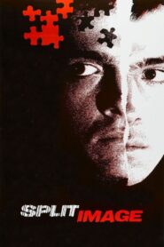 Split Image 1982 one on netflix