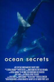 Ocean Secrets 2020 one on netflix