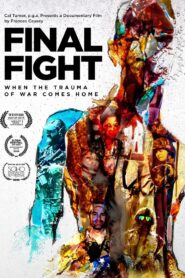 Final Fight 2024 one on netflix