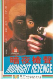 Midnight Revenge 1995 one on netflix