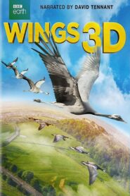 Wings 3D 2014 one on netflix
