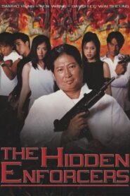 The Hidden Enforcers 2002 one on netflix