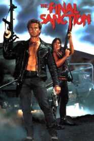 The Final Sanction 1990 one on netflix