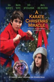 A Karate Christmas Miracle 2019 one on netflix