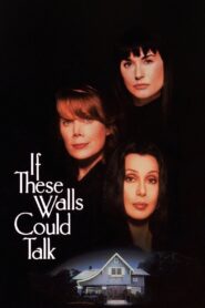 If These Walls Could Talk 1996 one on netflix