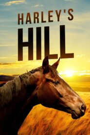 Harley’s Hill 2011 one on netflix