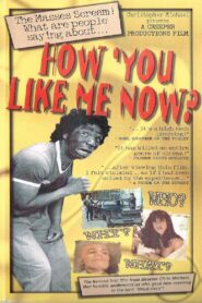 How ‘You Like Me Now? 1992 one on netflix