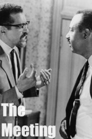 The Meeting 1989 one on netflix