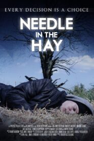 Needle in the Hay 2011 one on netflix