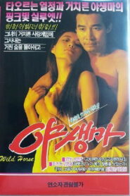 Wild Horse 1983 one on netflix