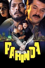 Parinda 1989 one on netflix