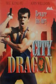 City Dragon 1995 one on netflix