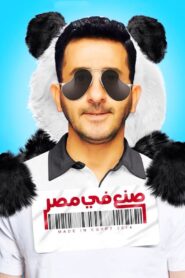 Made in Egypt 2014 one on netflix