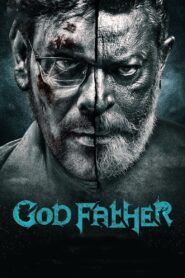God Father 2020 one on netflix