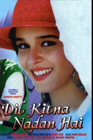 Dil Kitna Nadan Hai 1996 one on netflix