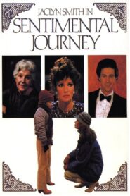Sentimental Journey 1984 one on netflix