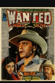 Wanted: Dead or Alive 1984 one on netflix