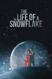 The Life of a Snowflake 2022 one on netflix