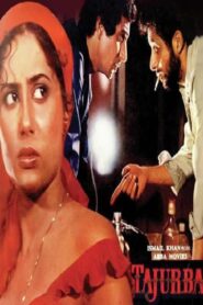Tajurba 1981 one on netflix